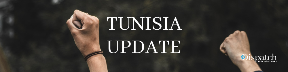 Tunisia: Pre-Election Protests Question Electoral Process Overview